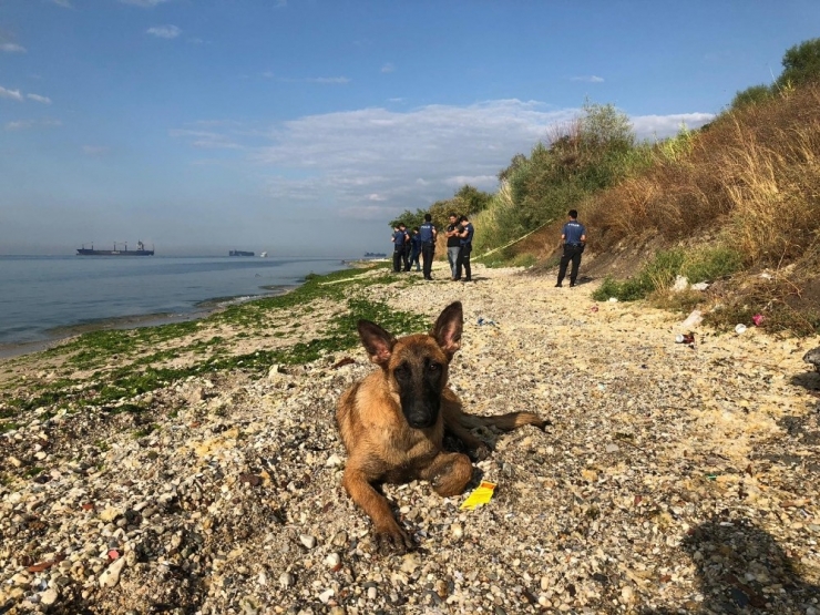 Beylikdüzü Kavaklı Sahili’nde Poşet İçerisinde Yeni Doğmuş Bir Bebek Cesedi Kıyıya Vurdu. Çevredekilerin İhbarı Üzerine Olay Yerine Polis Ekipleri Sevk Edildi.