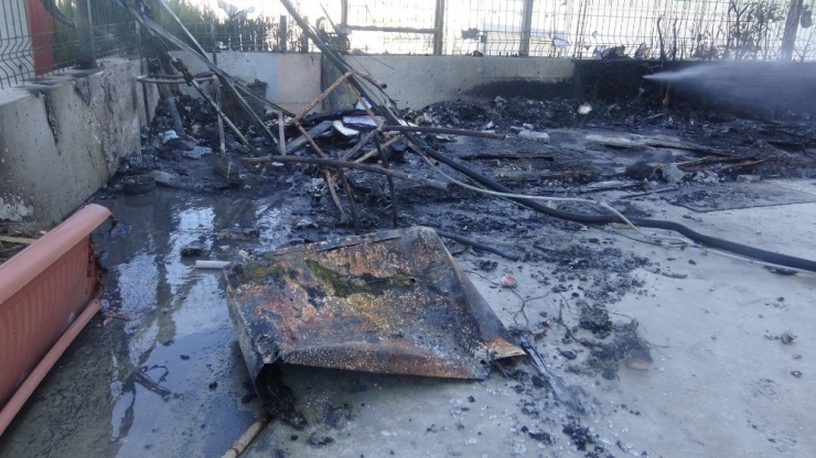 Yanan Kulübeden Köpeği Kurtarmak İçin Canını Hiçe Saydı