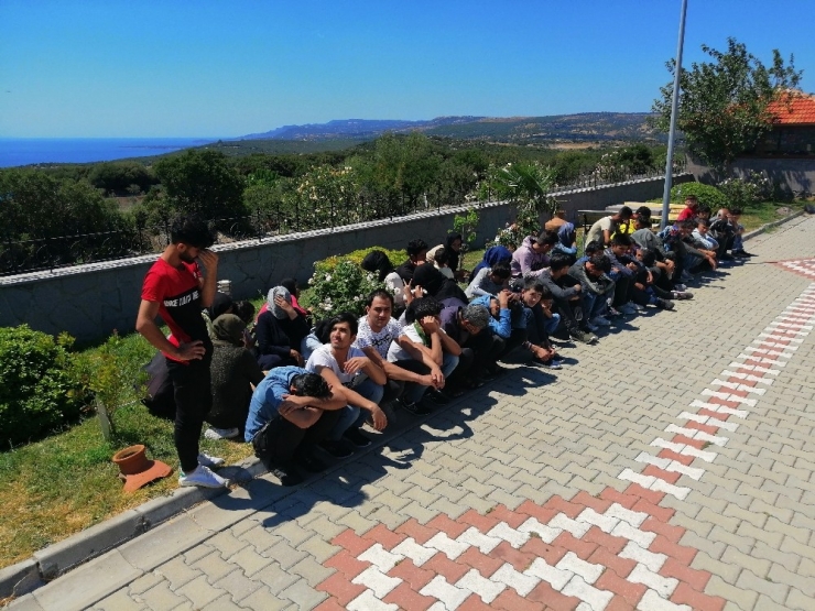 Çanakkale’de 80 Mülteci İle 3 Organizatör Yakalandı