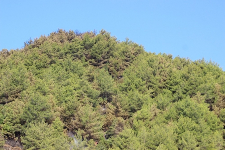 Hatay’daki Orman Yangını Söndürüldü