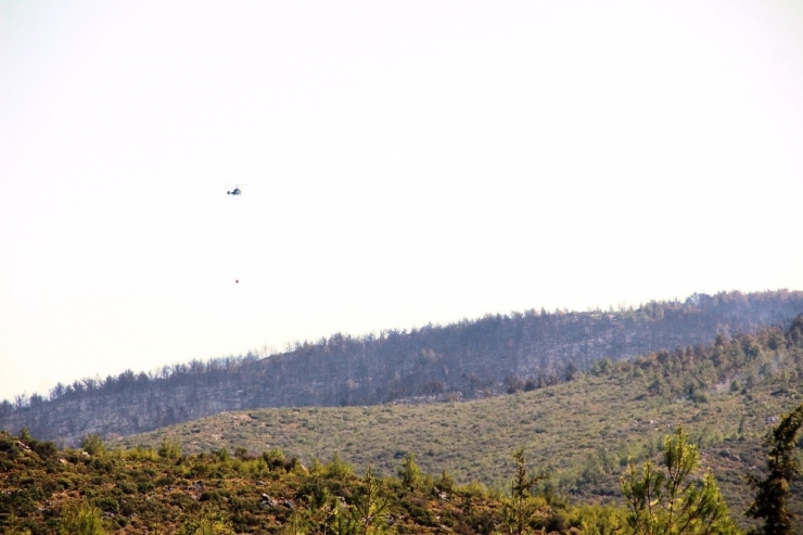 Muğla’daki Yangınlarda Sabotaj İhtimali