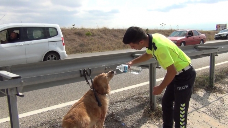 Kırıkkale’de Takla Atan Otomobil Su Kanalına Devrildi: 2 Yaralı
