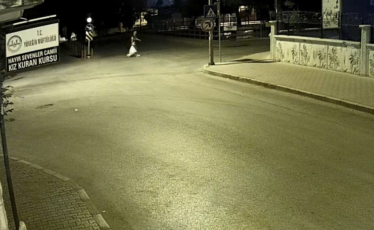 Çuvalla 23 Güvercin Çaldı Tutuklandı