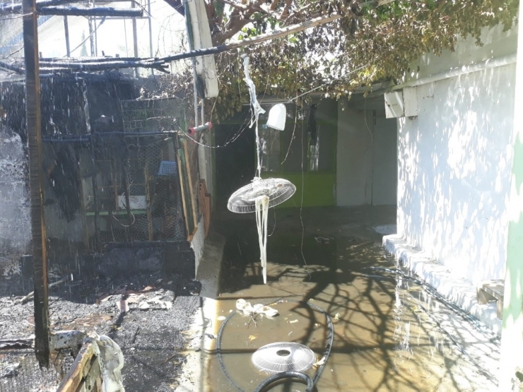 Mutfak Tüpü Bomba Gibi Patladı