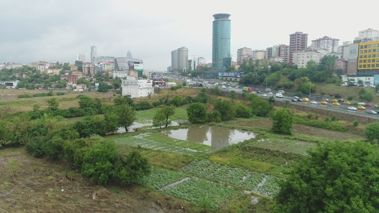 Ataşehir’de Su Basan Seralar Havadan Görüntülendi