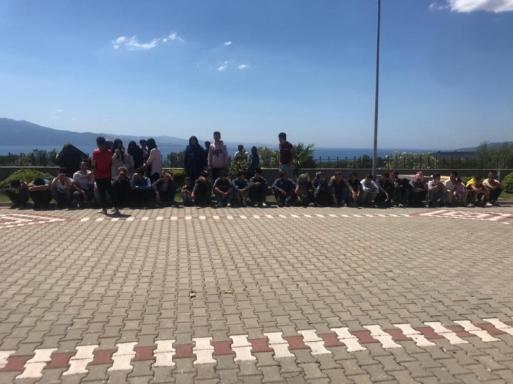 Çanakkale’de 201 Kaçak Göçmen Yakalandı