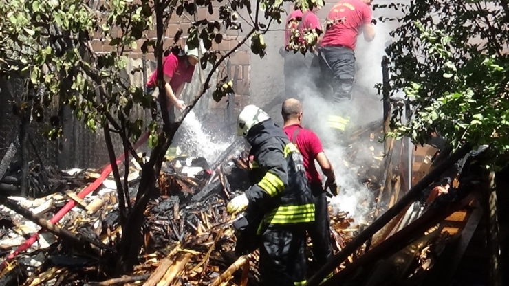 Vatandaşların Çabası Hayvanların Telef Olmasını Önledi