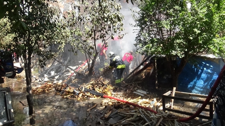 Vatandaşların Çabası Hayvanların Telef Olmasını Önledi