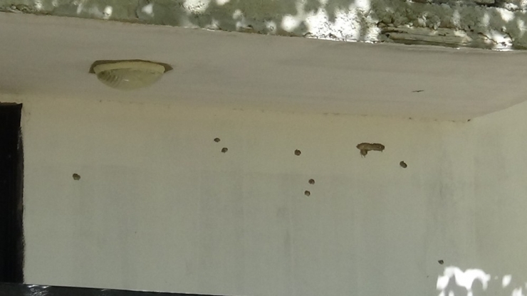 Diyarbakır’daki Silahlı Kavgada Kahreden Detay