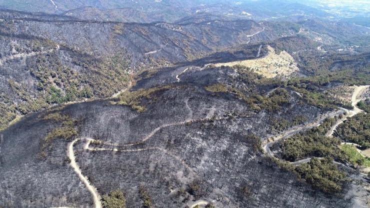 53 Saatlik Yangından Geriye Yürek Yakan Görüntüler Kaldı