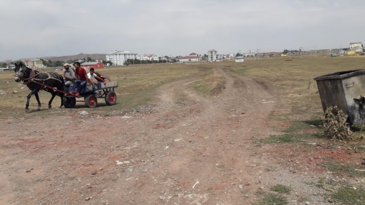 Kars’ta 1,5 Milyon Tl’ye Mal Olan Olimpik Havuz Belediyeden Yol Bekliyor