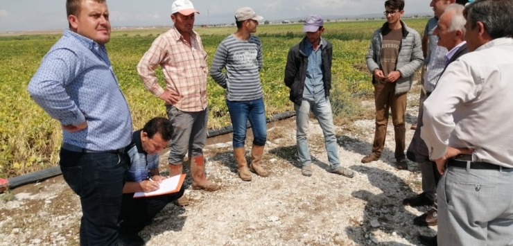 Niğde’de 20 Dekarlık Tarım Arazisi Doludan Zarar Gördü