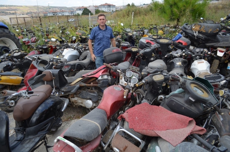 Çürüyen Milli Serveti İnek Küpeleriyle Koruyor