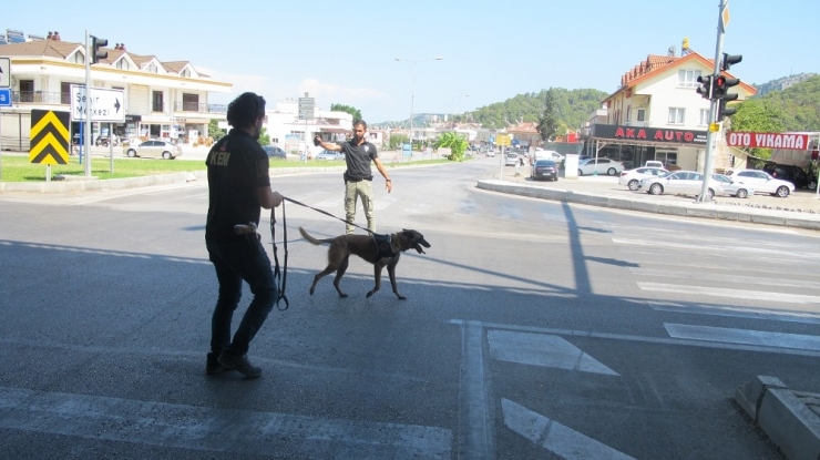 Takma Dişleri, Kayıp Adam İçin Umut Oldu
