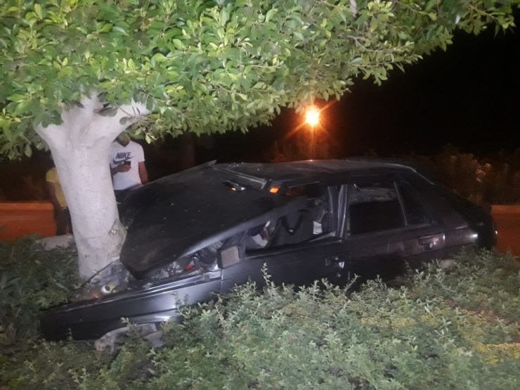 Köpeğe Çarpmamak İçin Refüjdeki Ağaca Çarptı