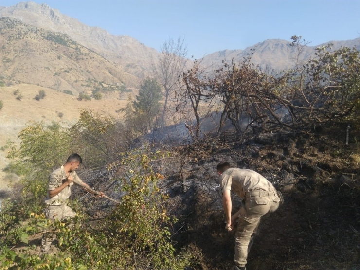 Fıstık Bahçelerinde Çıkan Yangın, Güvenlik Güçlerinin Müdahalesiyle Söndürüldü