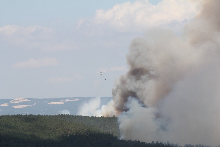 145 Hektar Orman Kasıtlı Yakılmış