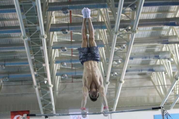 Artistik Cimnastik Erkekler Milli Takımı, Hedef Büyüttü