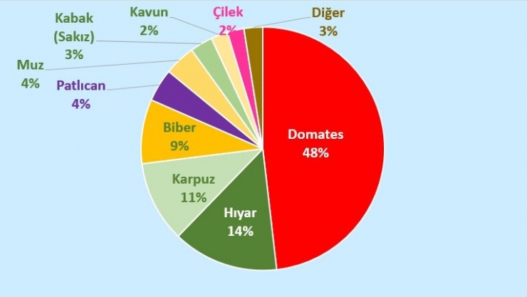 Türkiye Seracılıkta Dünya İle Yarışıyor