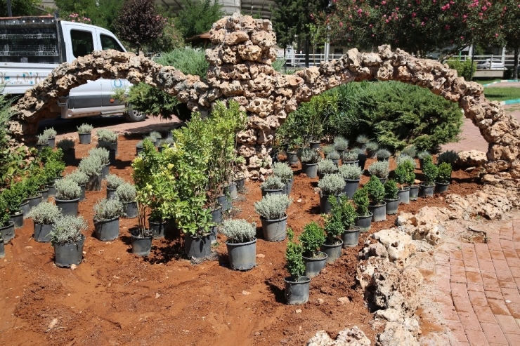 Haliliye’de Parklar Güzelleşiyor