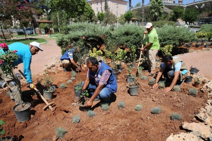 Haliliye’de Parklar Güzelleşiyor