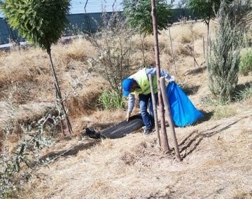 Mardin’de Hizmet Atağı Yeniden Başladı