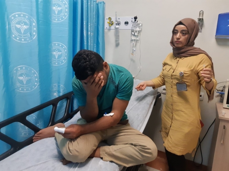 Siirt’te Yılanın Isırdığı Genç Yaralandı