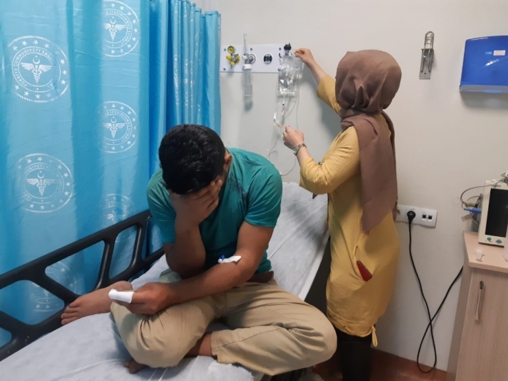 Siirt’te Yılanın Isırdığı Genç Yaralandı