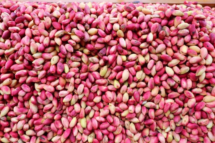 Antep Fıstığı Cep Yakıyor