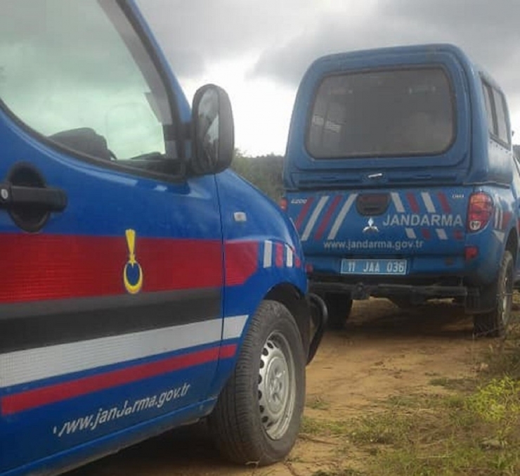 Ceviz Ağaçlarını Kesip Çalanlar Başka Tarlaya Saklamış