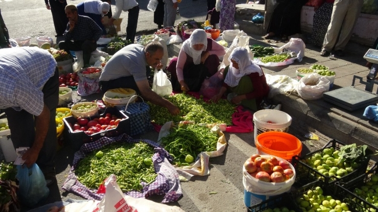 Gercüş’te Organik Ürünlerdeki Bereket Fiyatları Düşürdü