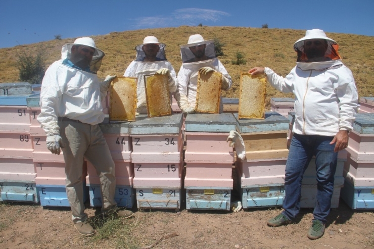 2 Bin Rakımda Doğal "Bal" Bereketi