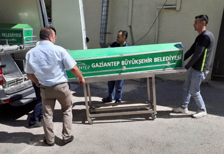 Maganda Kurşunu Çocuğu Öldürdü