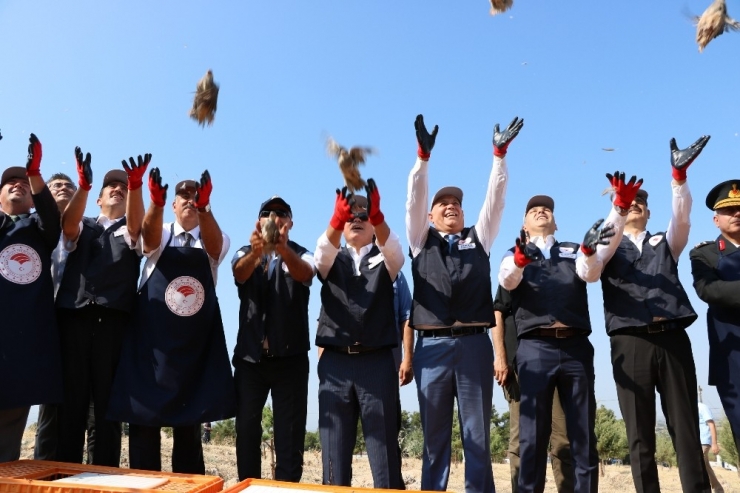 Tarım Alanlarının Yeni Bekçileri Doğaya Bırakıldı