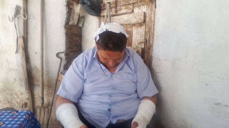 Eniştelerini Hastanelik Edince Kadar Dövdüler