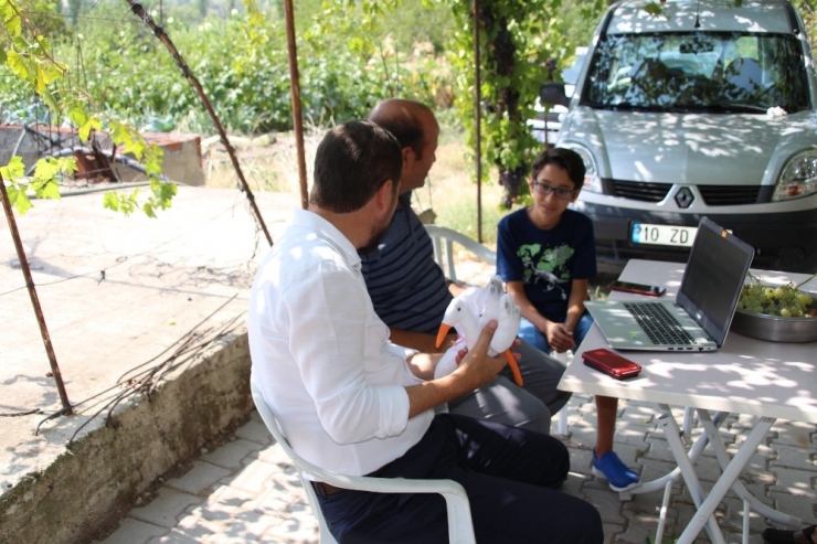 12 Yaşındaki Çocuk Çektiği Hayvan Videoları İle Fenomen Oldu