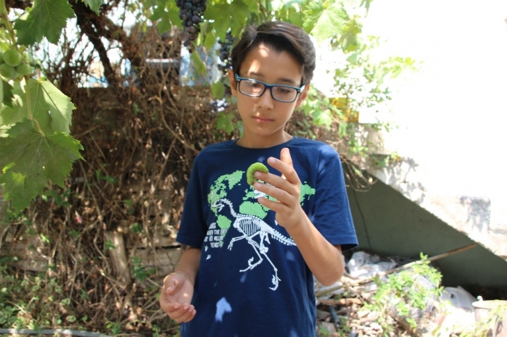 12 Yaşındaki Çocuk Çektiği Hayvan Videoları İle Fenomen Oldu