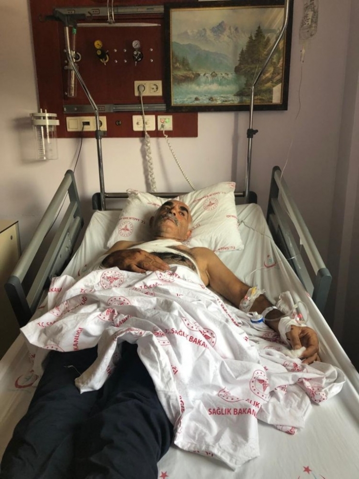 Ayının Saldırdığı Karı-koca Yaralandı