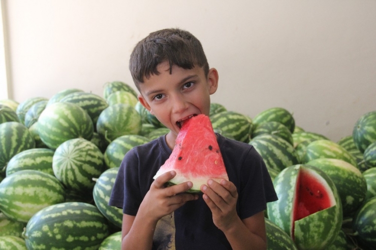 Kabak Karpuz Tartışması: 1 Yaralı