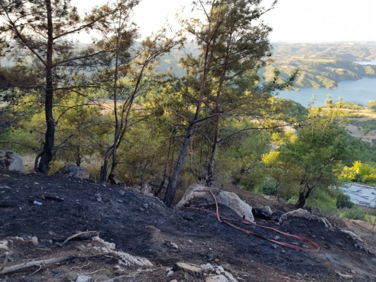 Kozan’da Orman Yangını