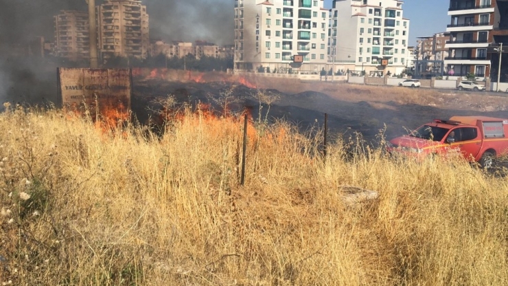 Yerleşim Yerlerinin Arasındaki Otluk Alan Yandı