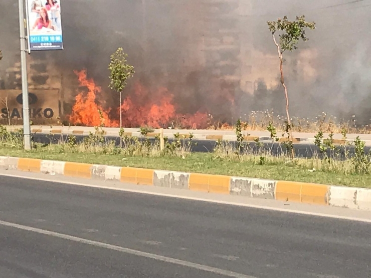 Yerleşim Yerlerinin Arasındaki Otluk Alan Yandı