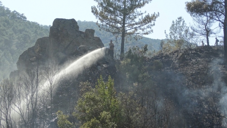 Domaniç’te Orman Yangını