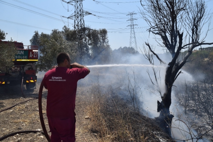 Aliağa’daki Yangının, Ormanlık Alana Sıçramaması İçin Büyük Mücadele