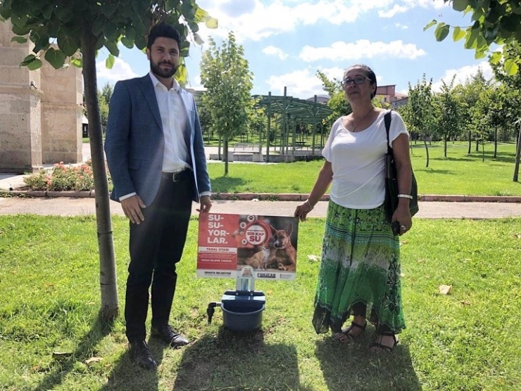 Isparta Belediyesi’nden Sokak Hayvanları İçin Suluk Çalışması