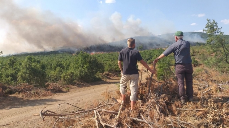 Edirne’de Orman Yangını