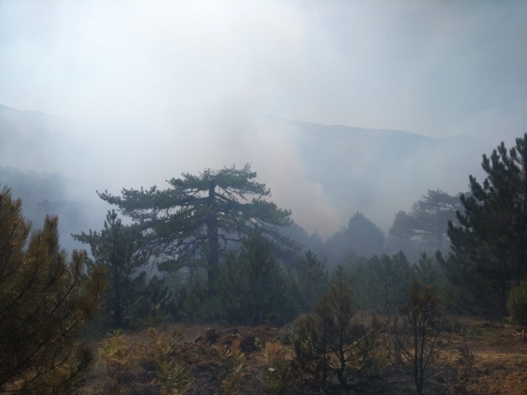 Kütahya’daki İkinci Orman Yangını Sürüyor