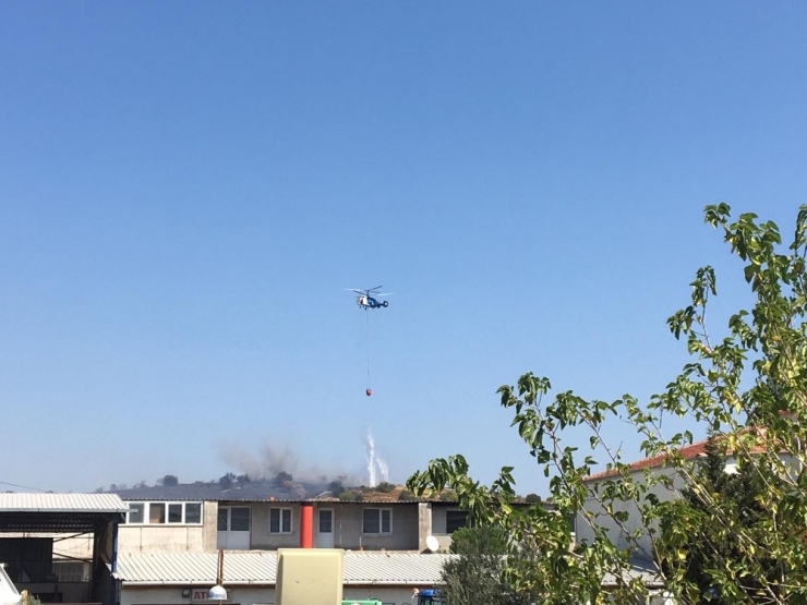 Otluk Alanda Yangın Paniği