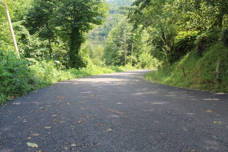 Hendek’te Asfalt Çalışmaları Hızla Devam Ediyor