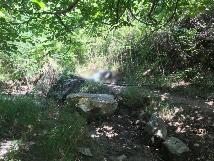 3 Gündür Kayıp Gencin Cesedi Dere Kenarında Bulundu